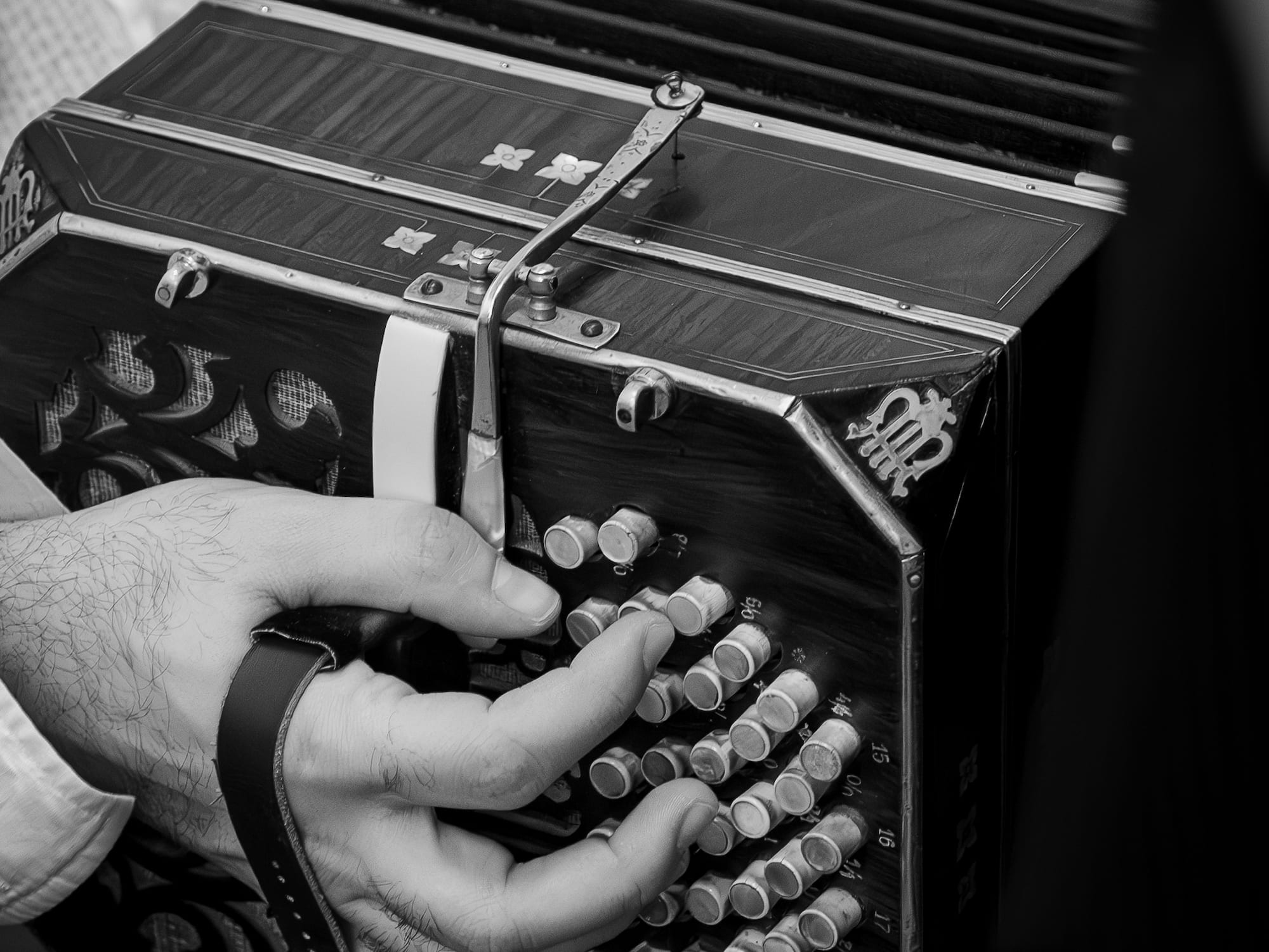a person playing an accordion