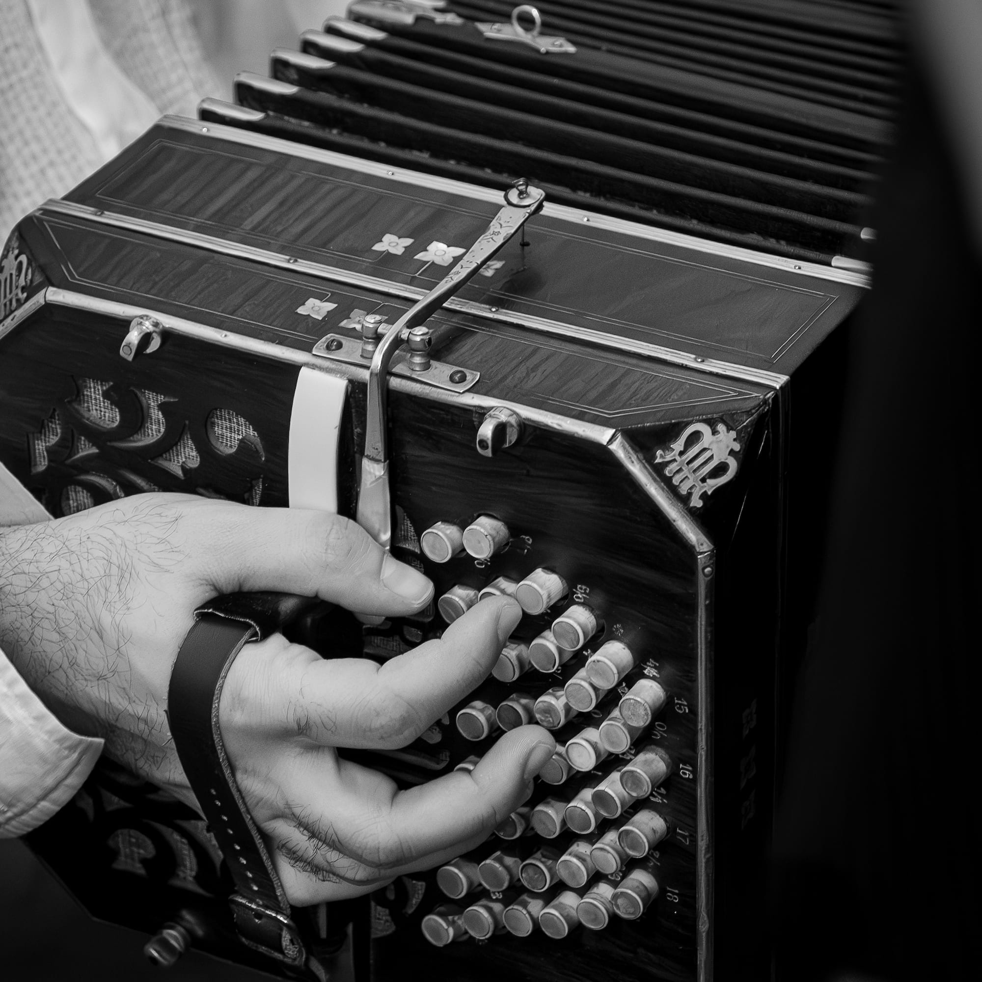 a person playing an accordion