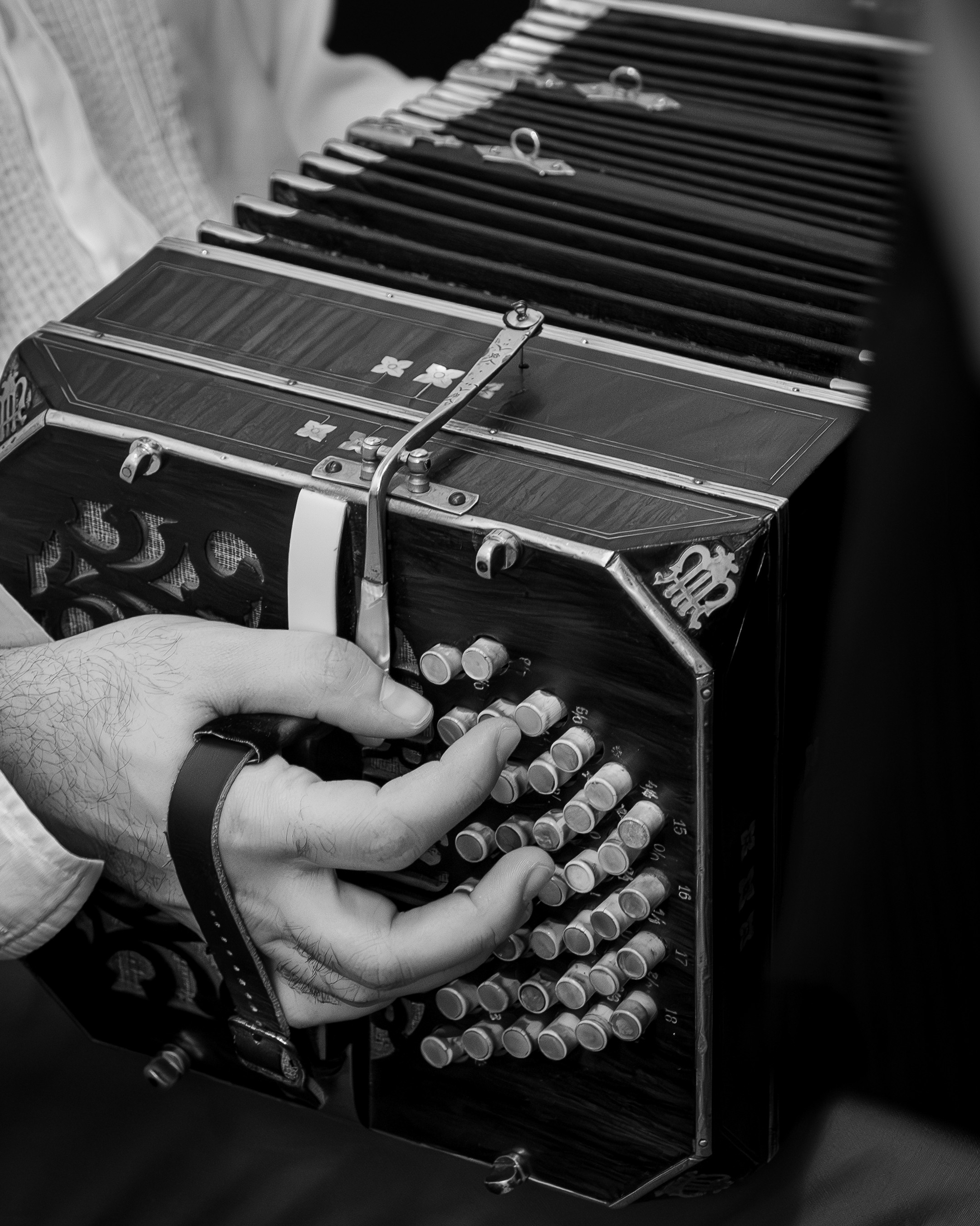 a person playing an accordion