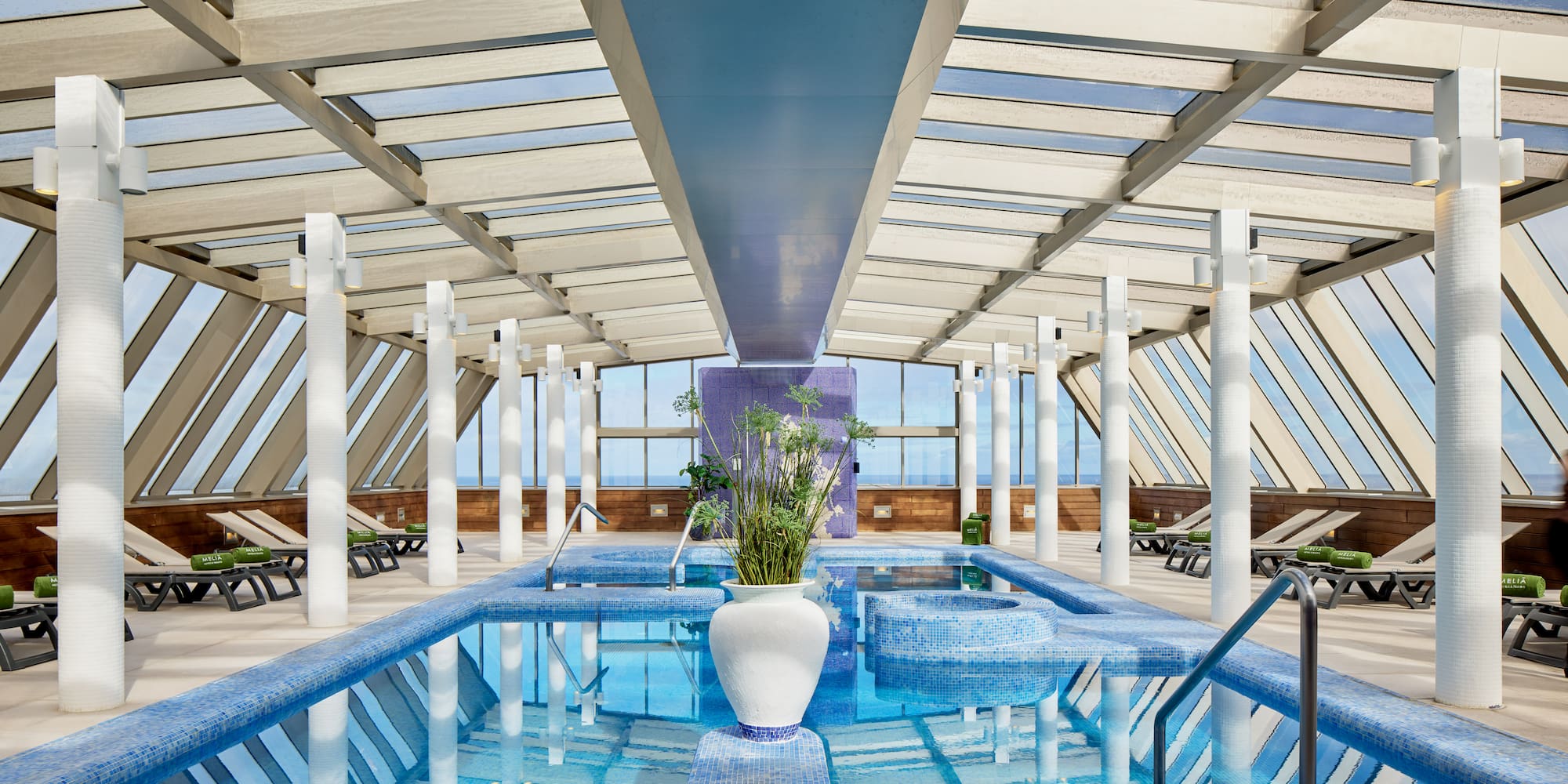 a indoor pool with a plant in it