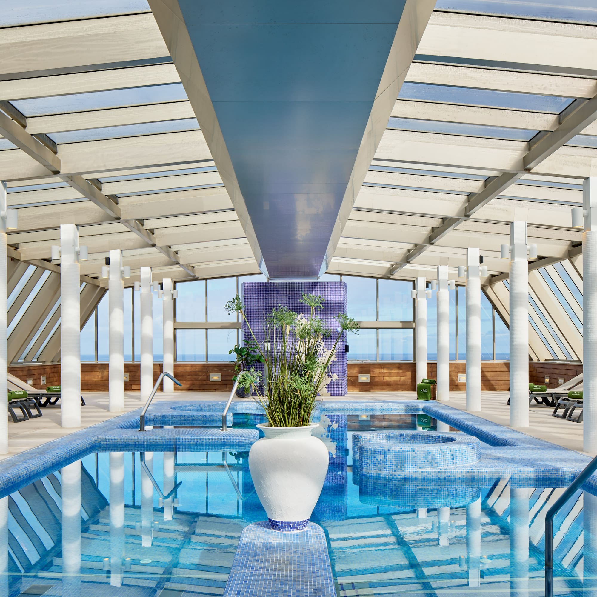 a indoor pool with a plant in it