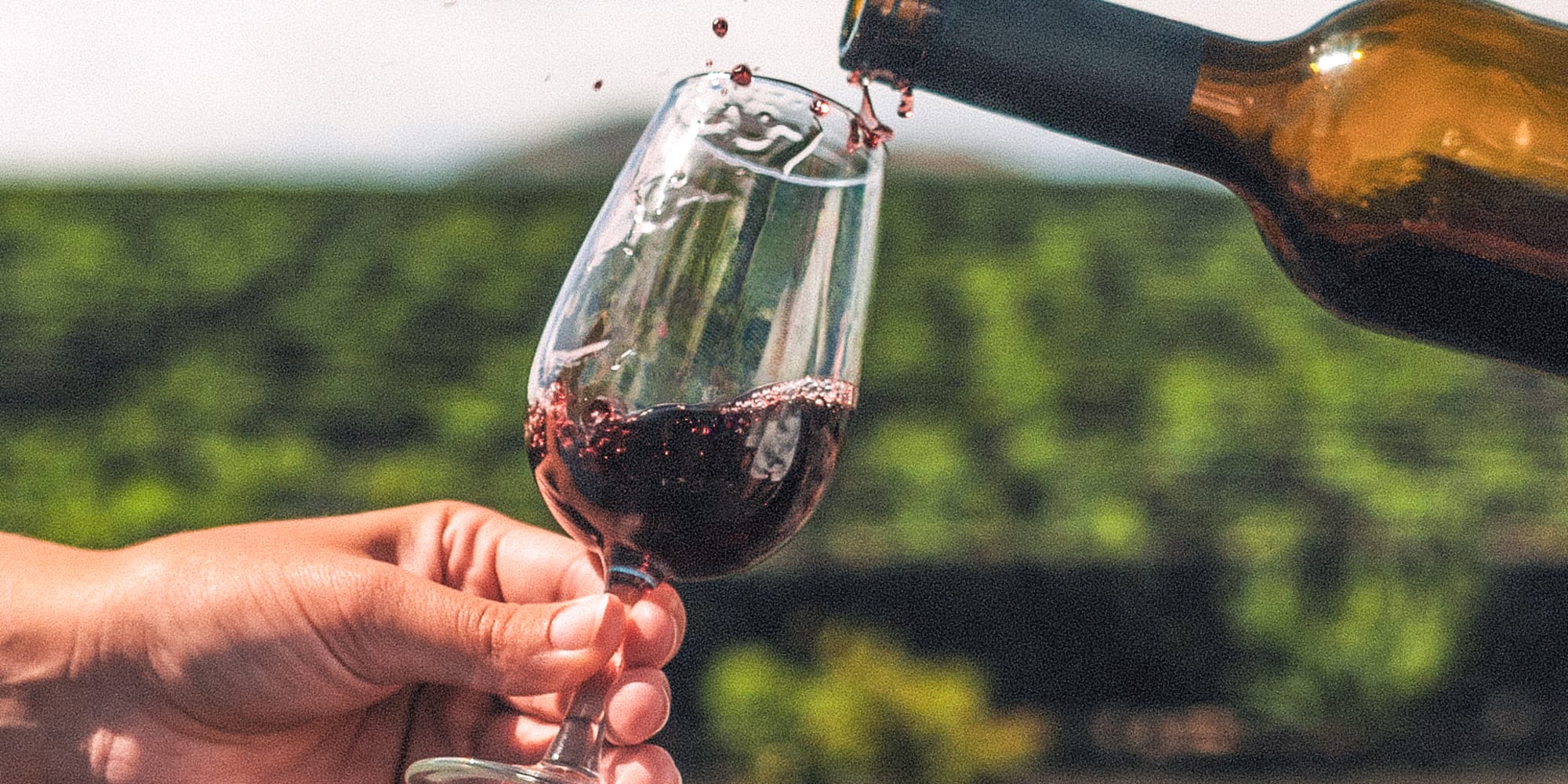a hand holding a glass of wine being poured into a glass