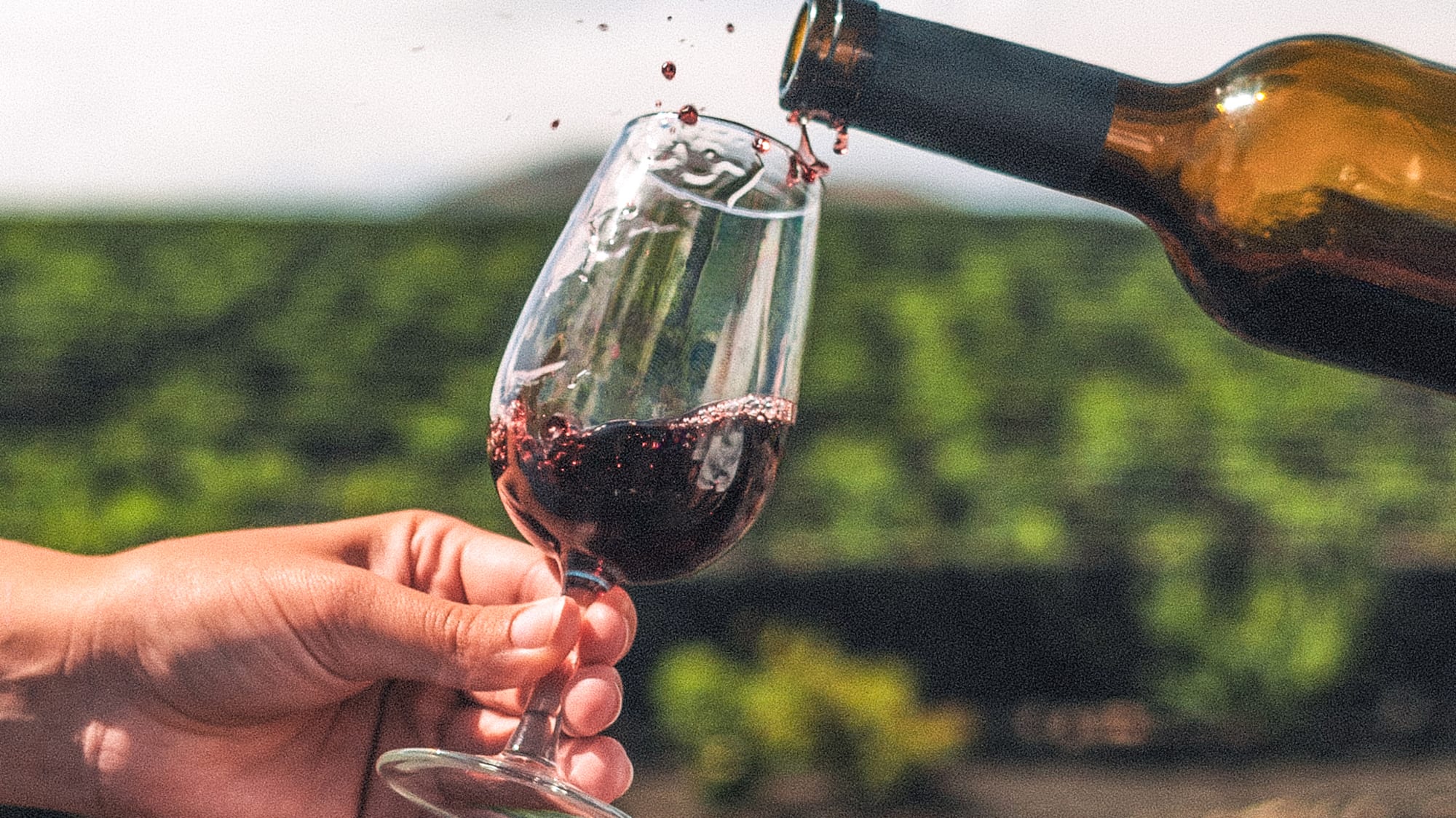 a hand holding a glass of wine being poured into a glass