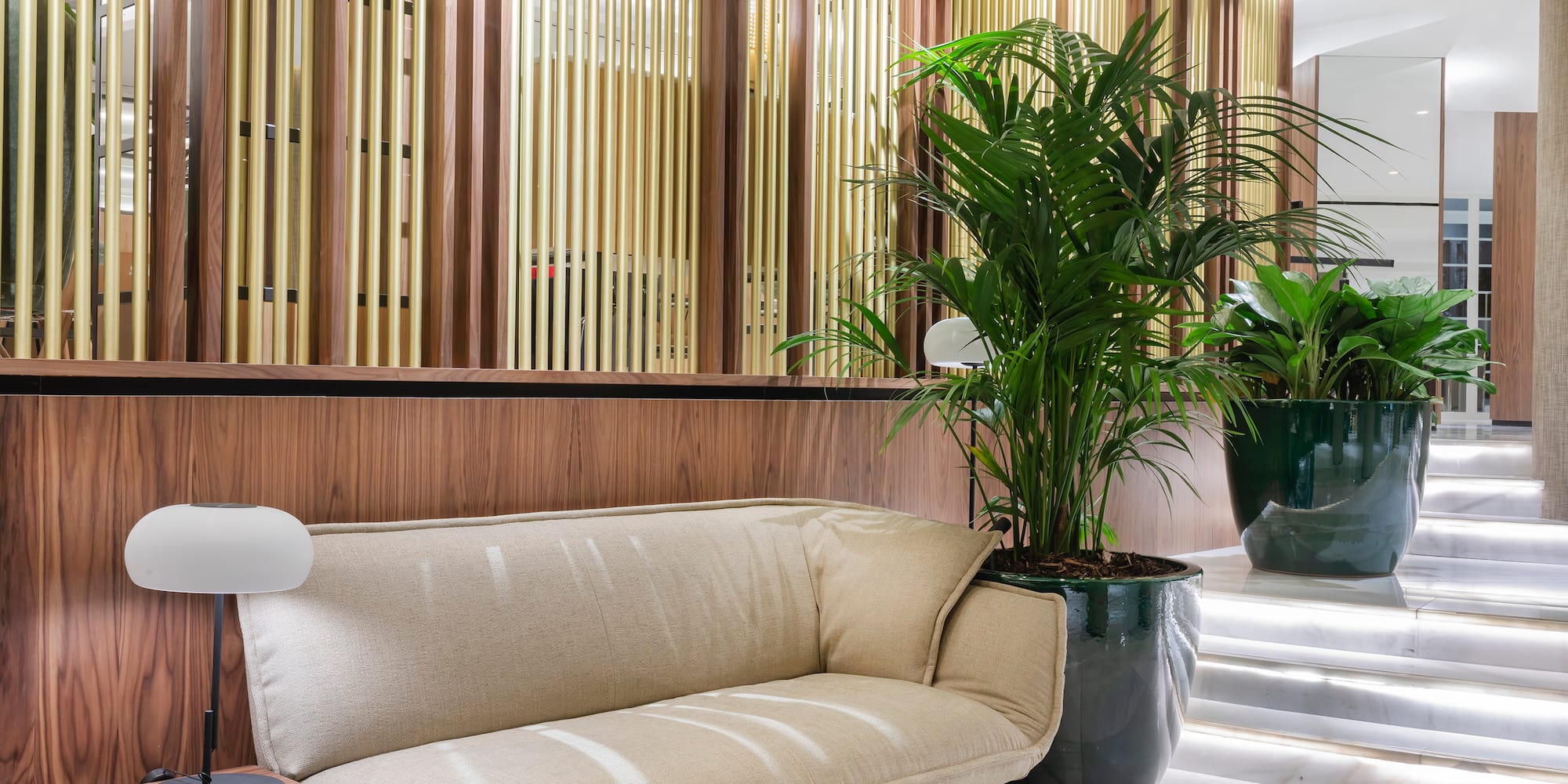 a couch and a plant in a room