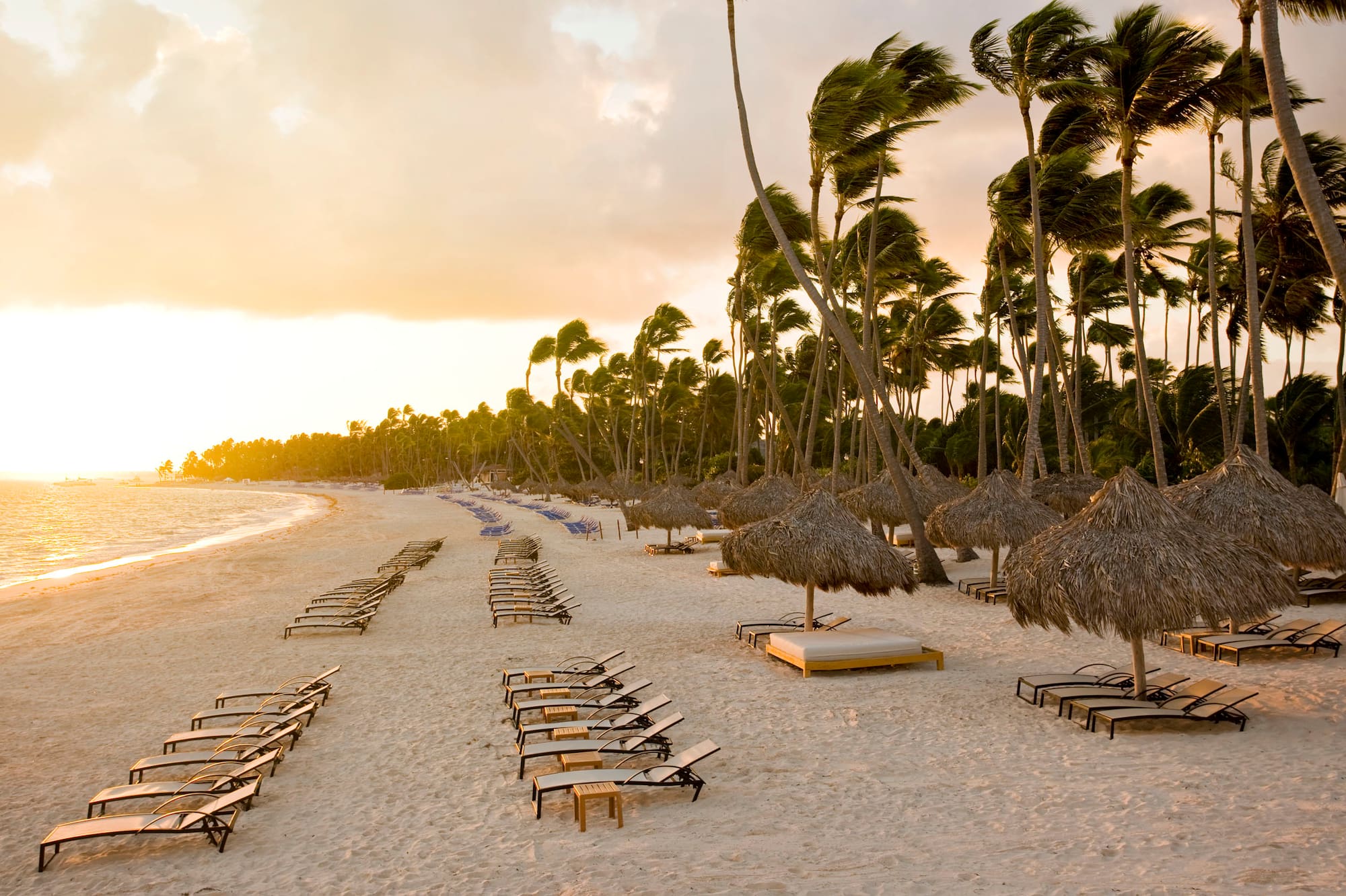 a beach with chairs and umbrellas