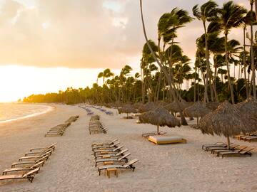 a beach with chairs and umbrellas