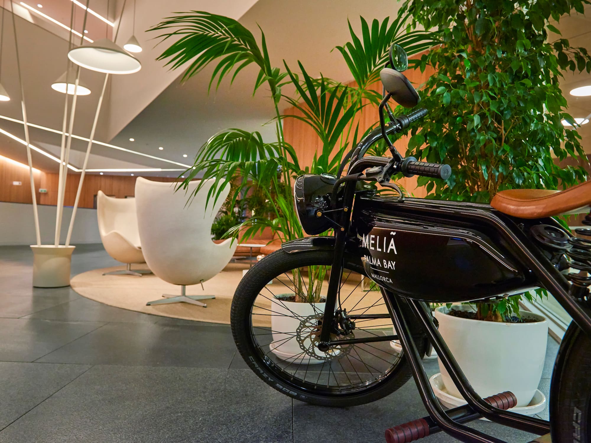 a bicycle in a room with plants