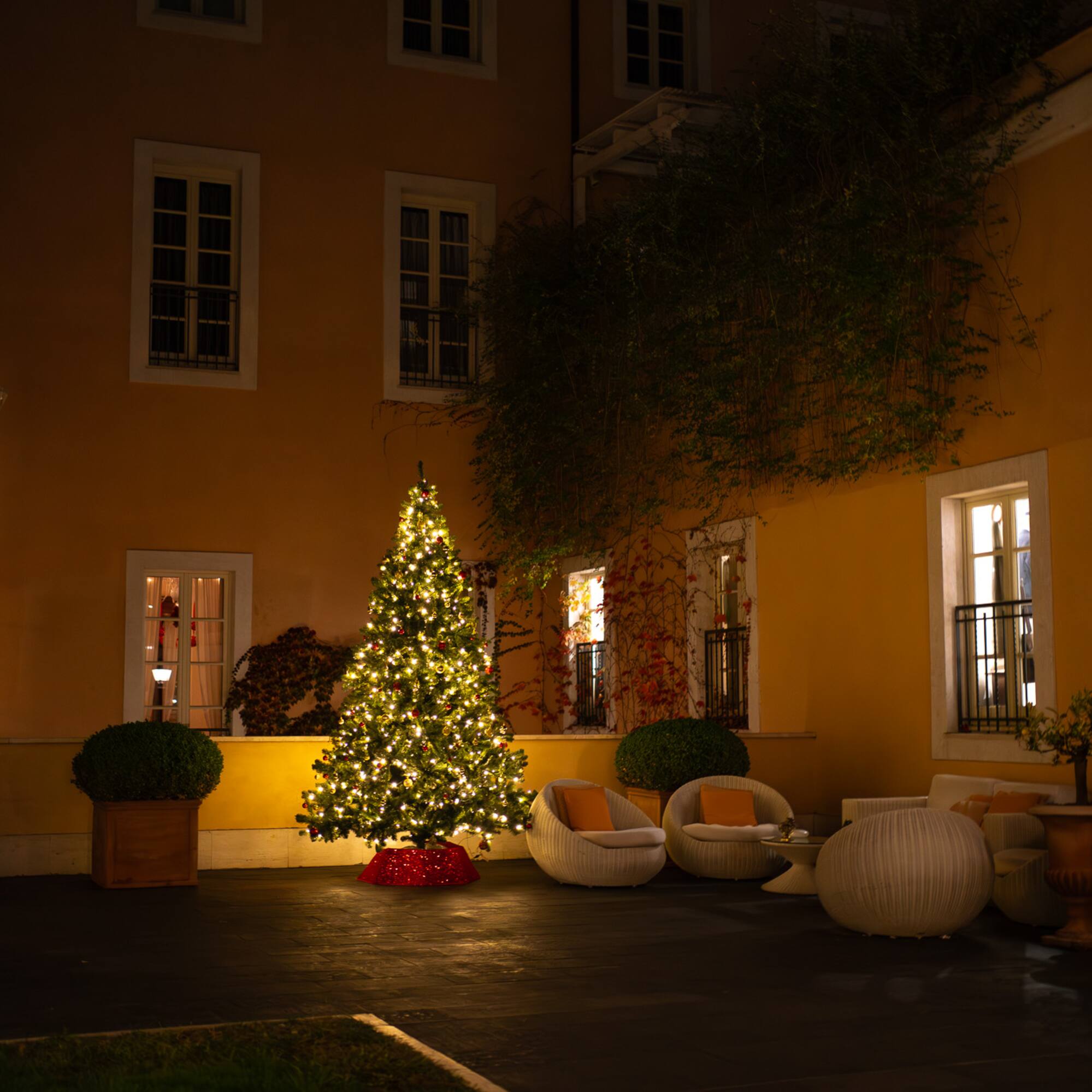 a tree with lights in front of a building