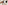 Woman in sunglasses and hat with tri-color dog selfie outdoors.