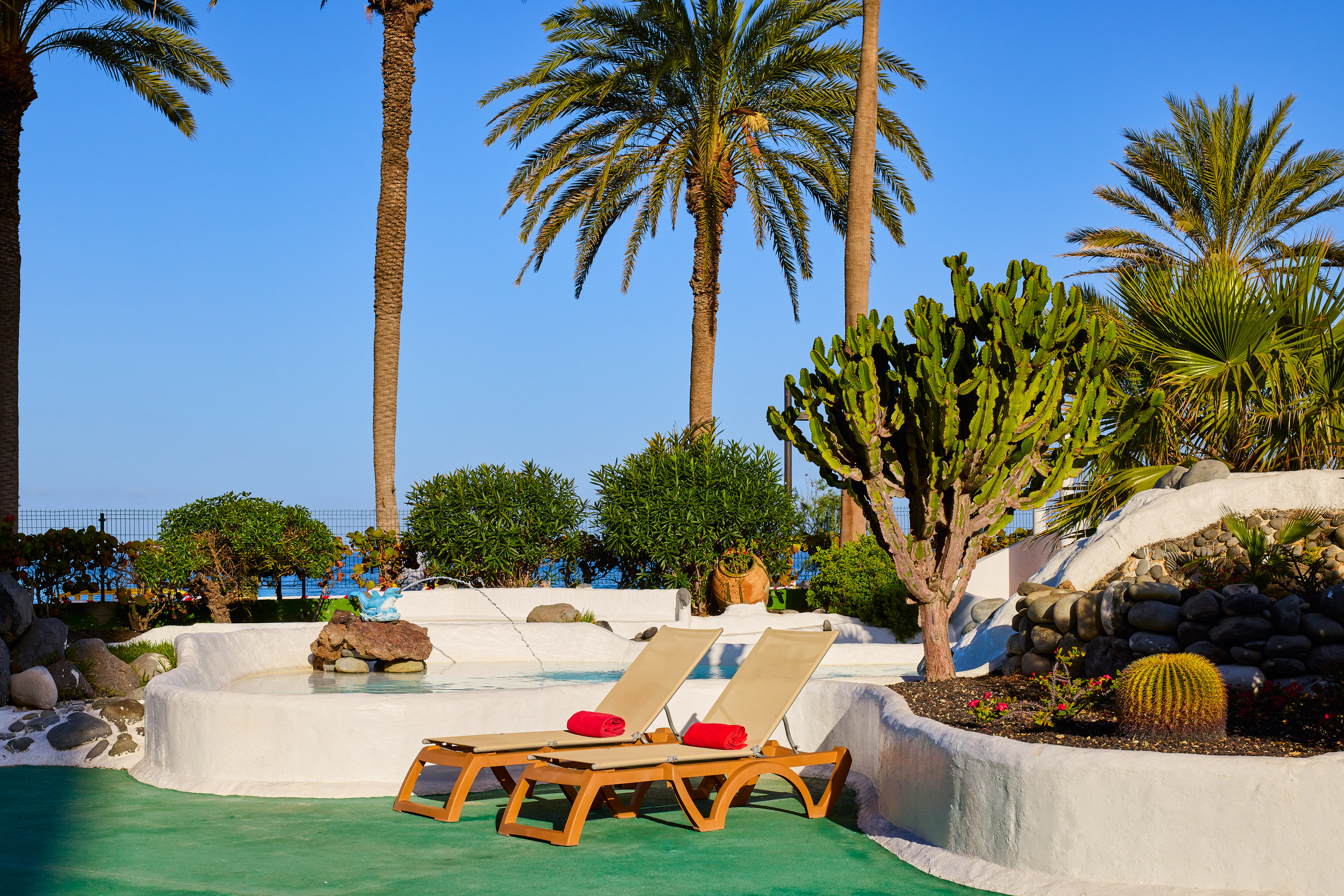 Sunny tropical resort poolside with lounge chairs, palm trees, and cactus plants.