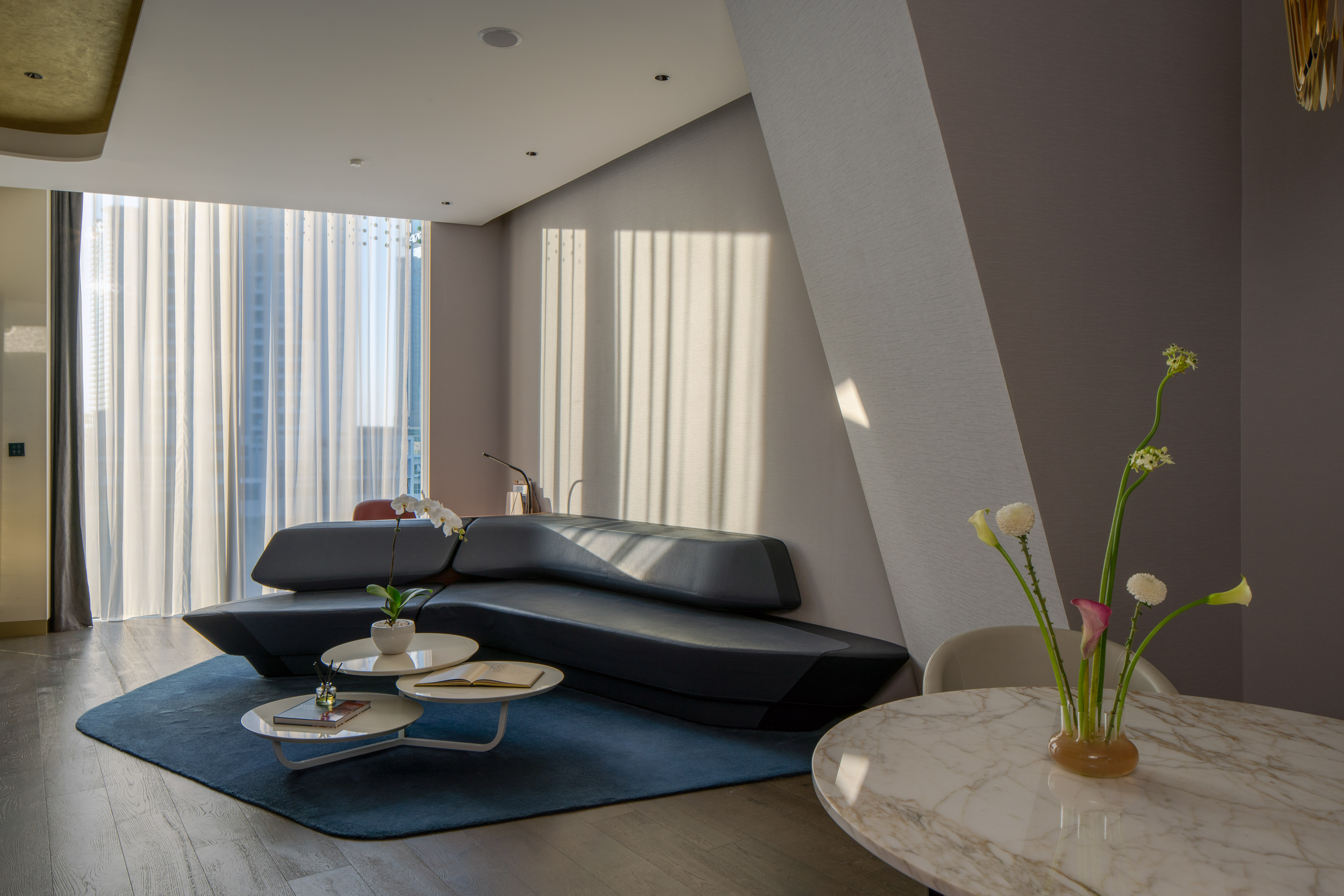 Modern living room with curved grey sofa, blue rug, and sunlit window.