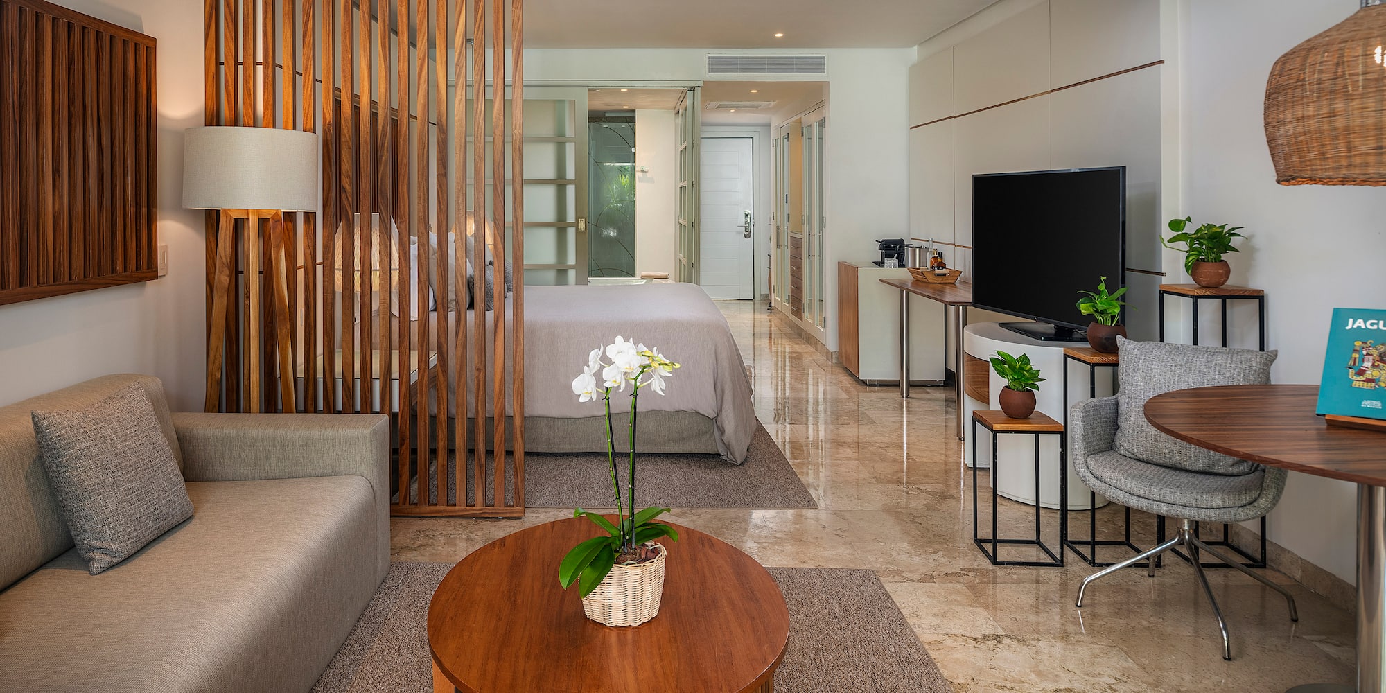 a room with a tv and a bed