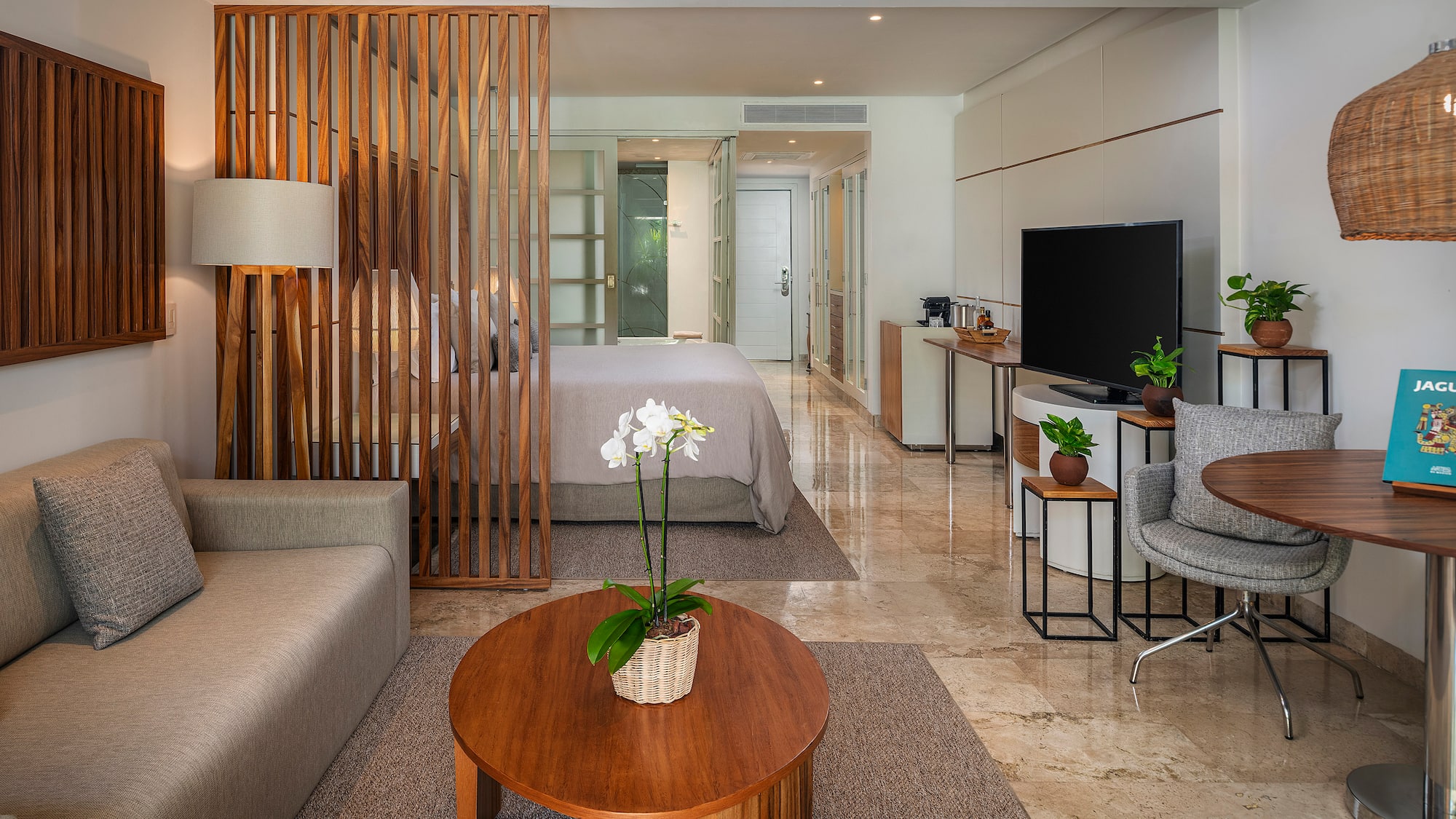 a room with a tv and a bed