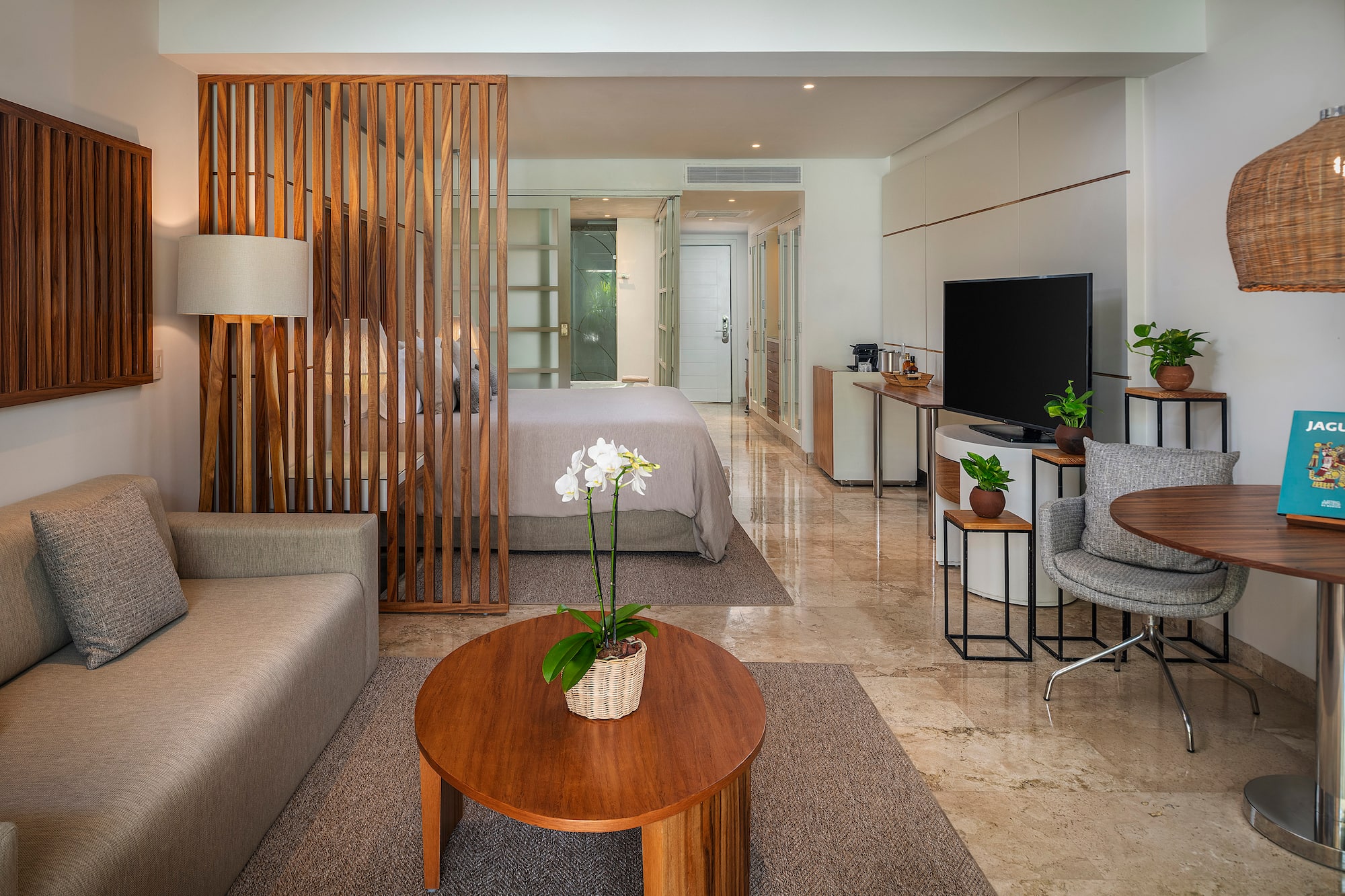 a room with a tv and a bed