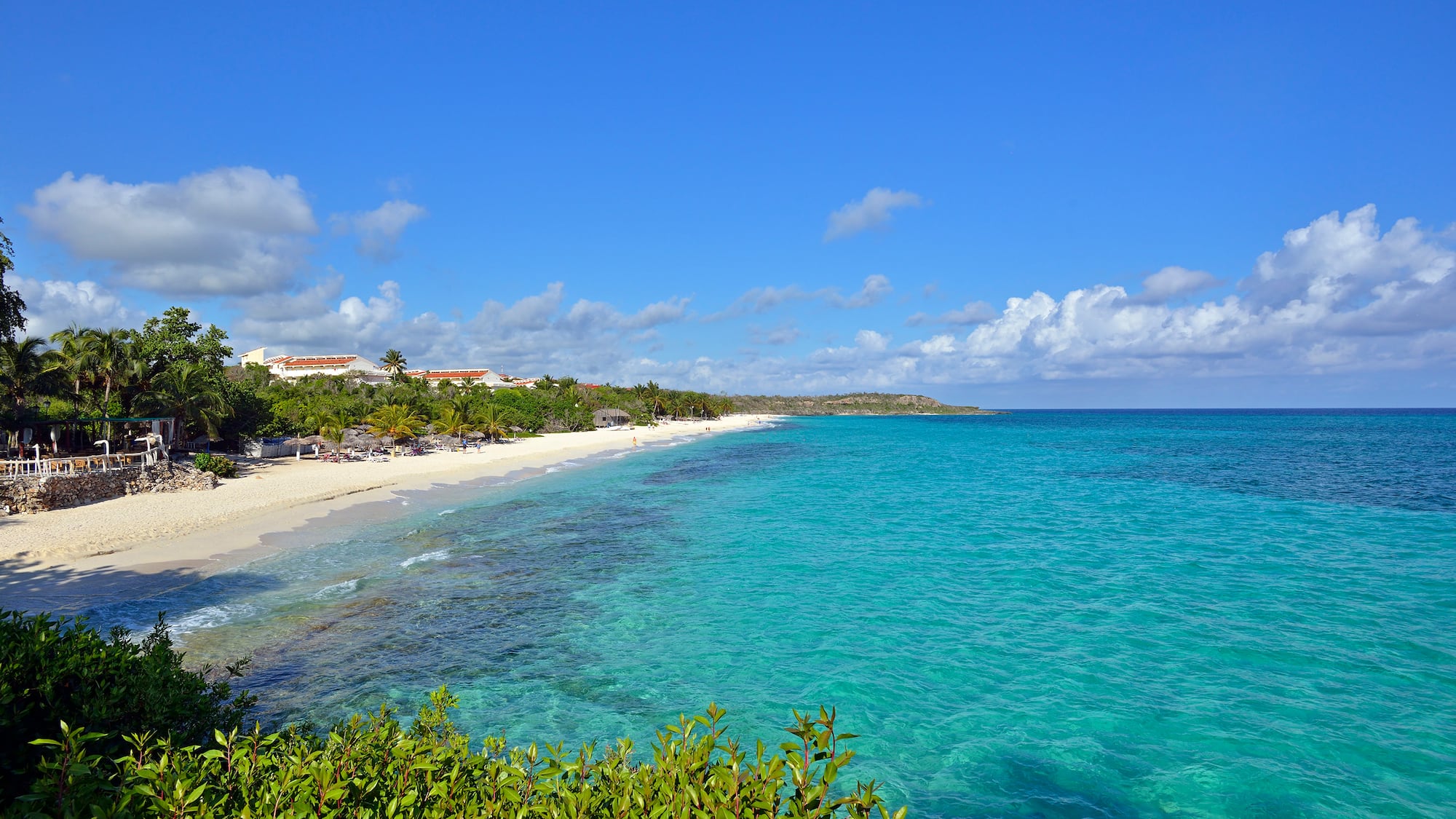 a beach with trees and blue water