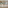 Contemporary wooden bar with high stools, liquor shelves, and lush green plants.