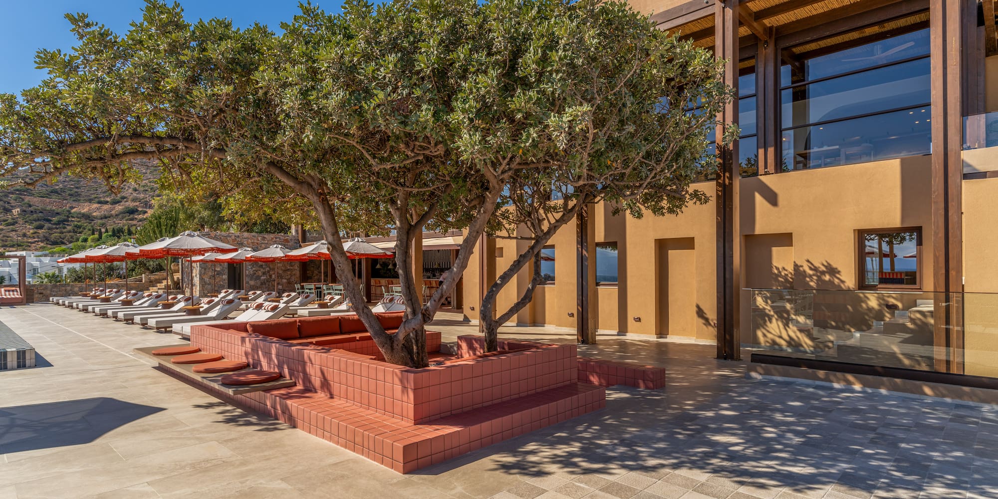 a tree in a pot outside of a building