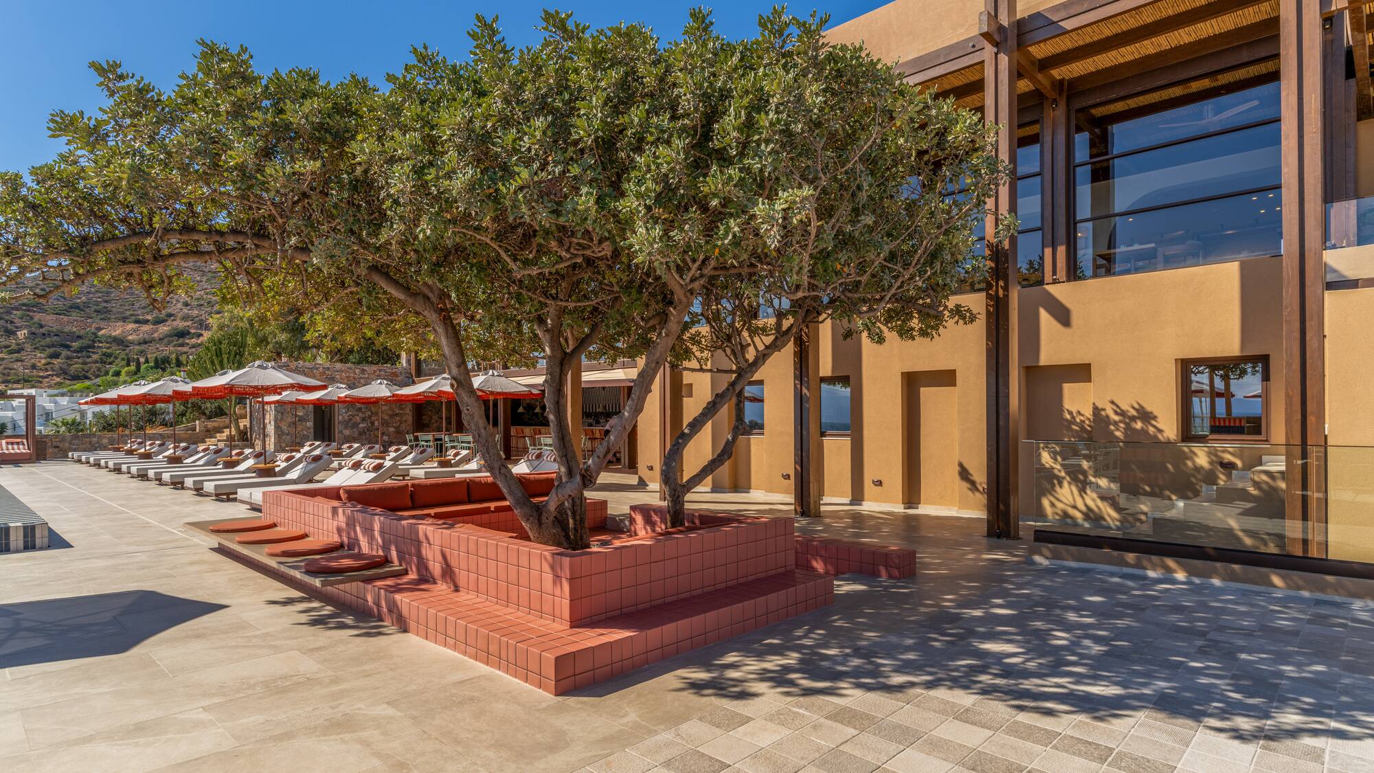 a tree in a pot outside of a building