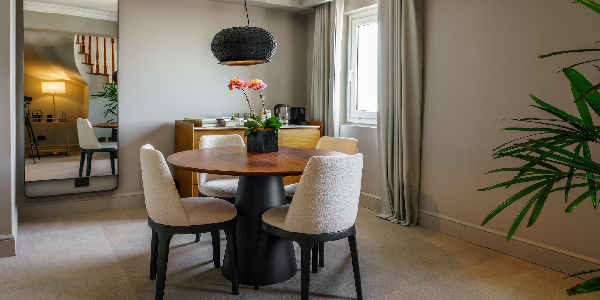 a dining table with chairs and a plant in a room
