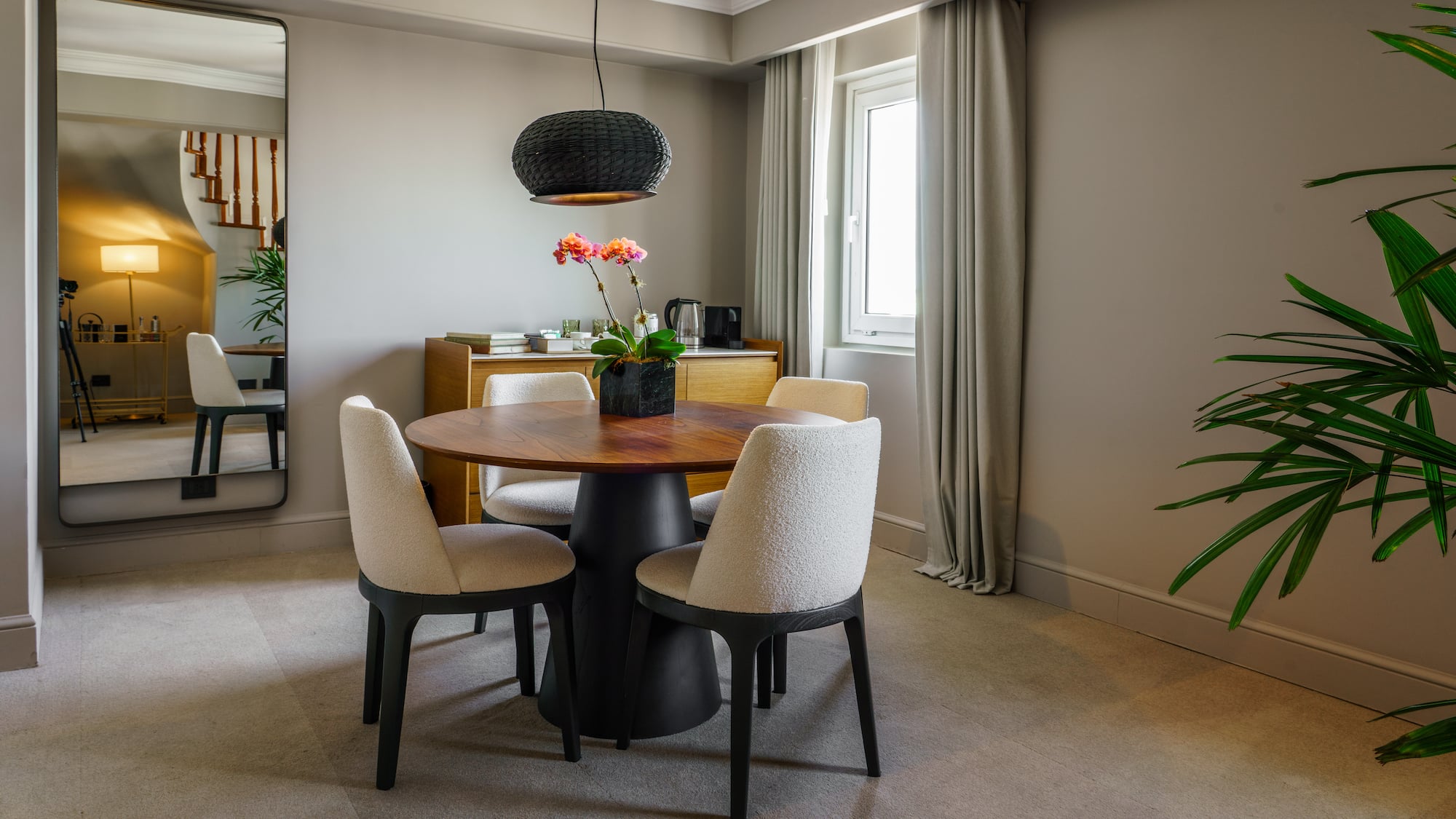a dining table with chairs and a plant in a room