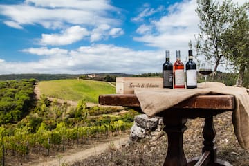 bottles of wine on a table with a vineyard in the background