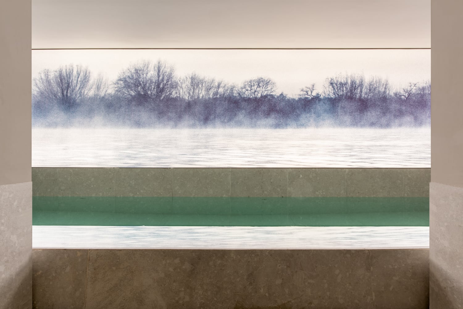 a pool with a view of a lake and trees