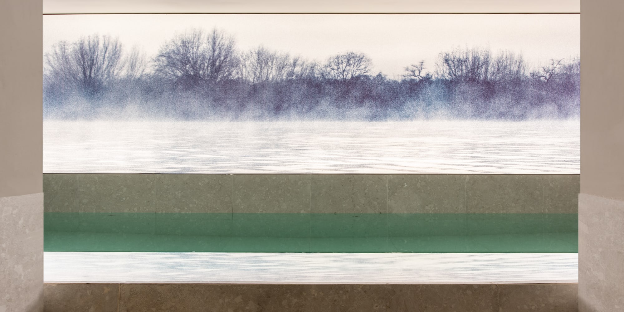 a pool with a view of a lake and trees