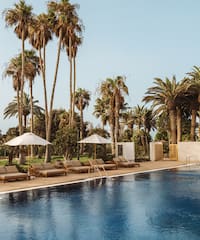 a pool with lounge chairs and umbrellas by palm trees