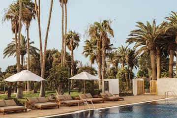 a pool with lounge chairs and umbrellas by palm trees