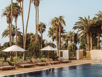 a pool with lounge chairs and umbrellas by palm trees