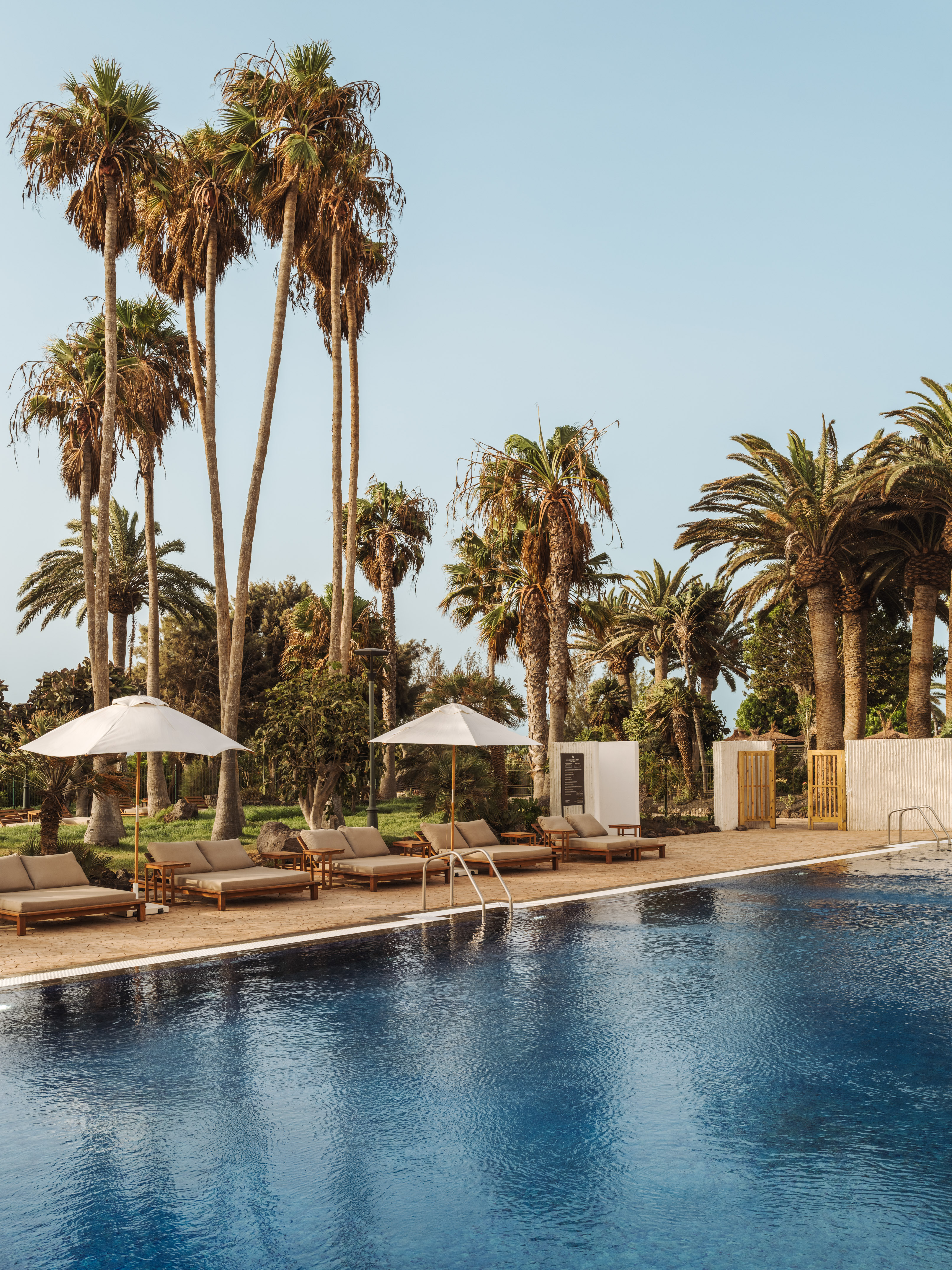 Resort swimming pool with lounge chairs, white umbrellas, and tall palm trees.