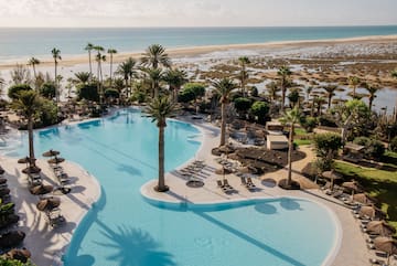 a swimming pool with palm trees and a beach