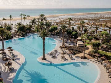 a swimming pool with palm trees and a beach