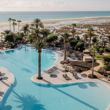 a swimming pool with palm trees and a beach