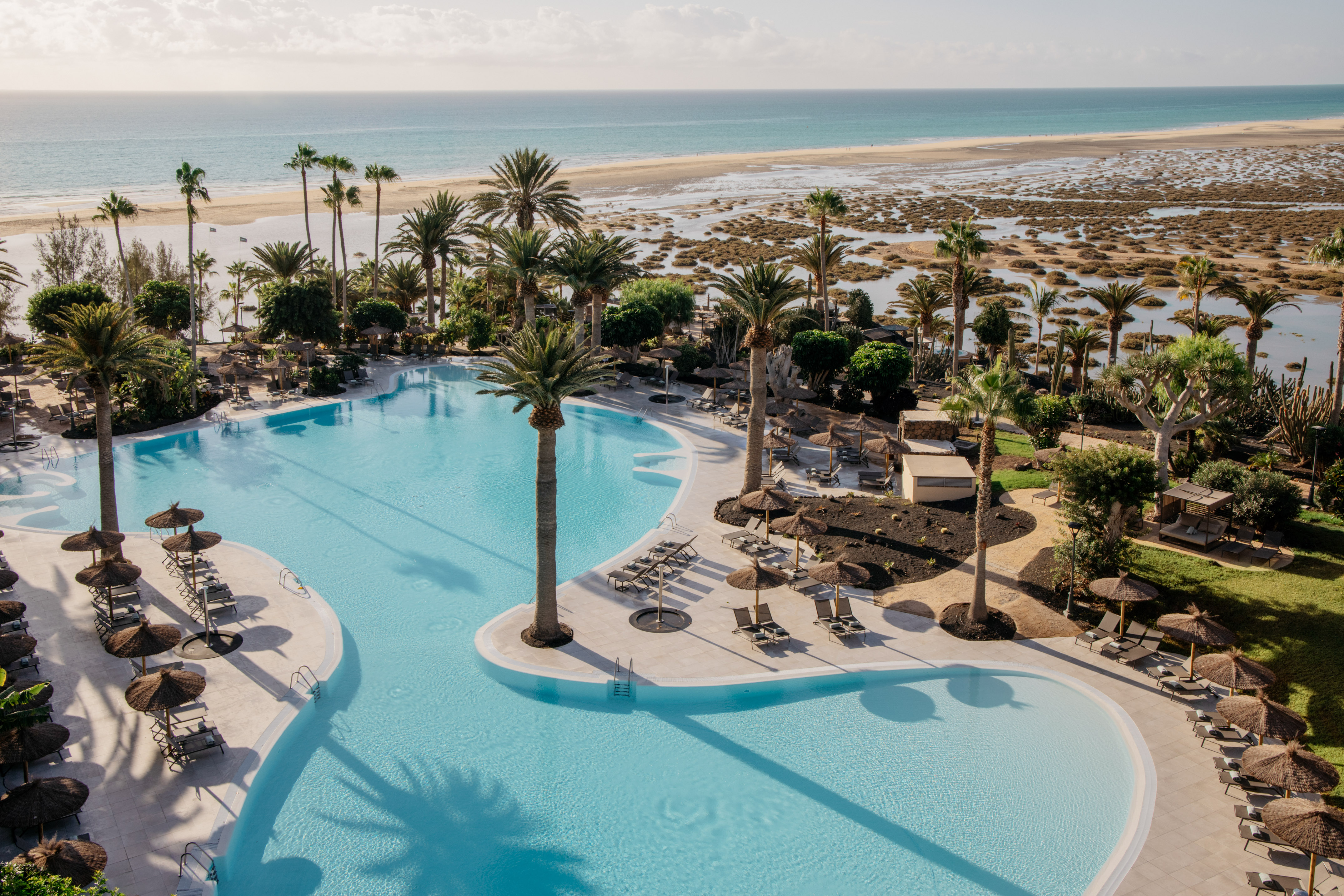 Scenic resort pool with palm trees, sunbeds, sandy beach, and ocean view.