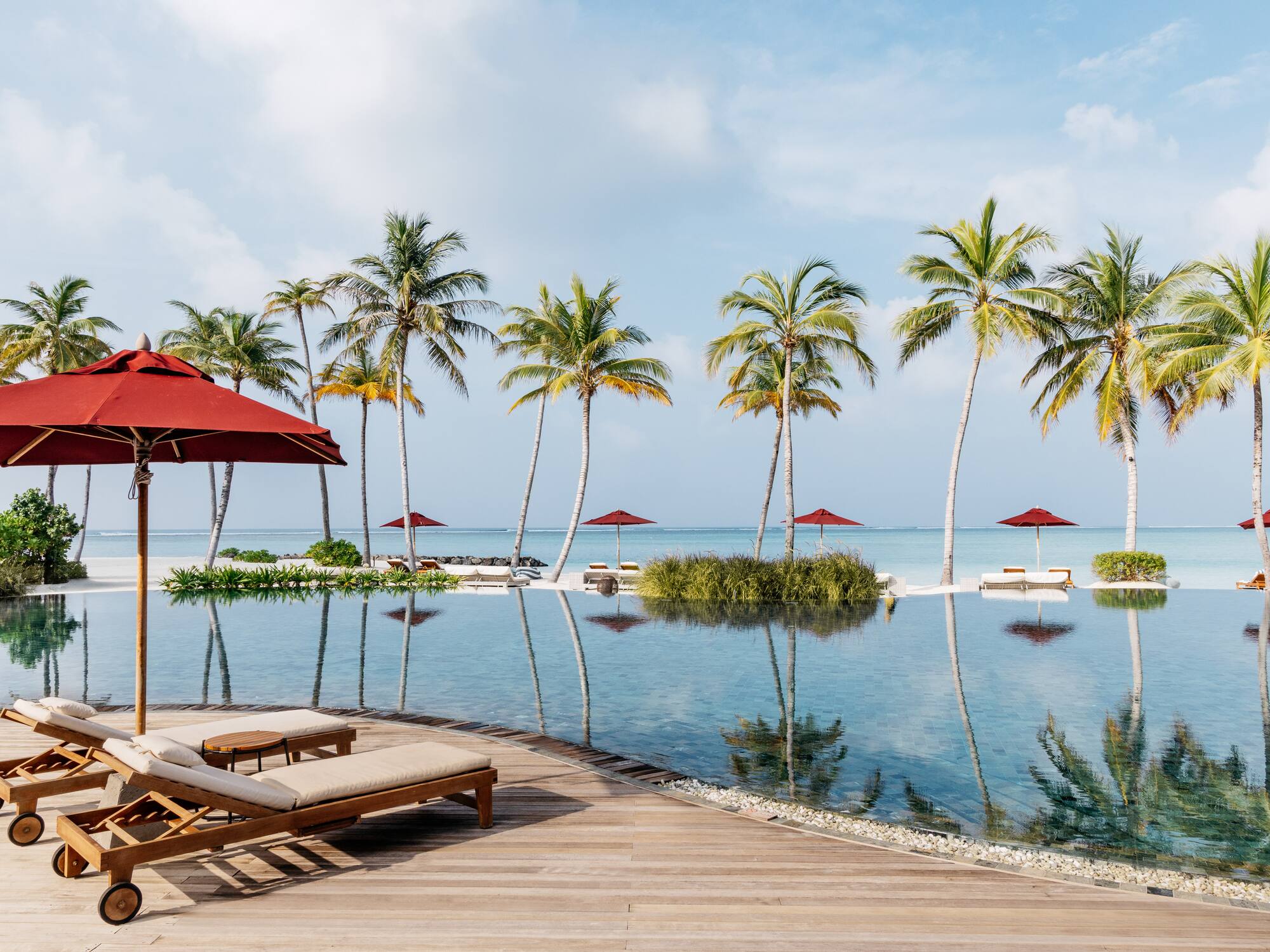 a pool with chairs and umbrellas and palm trees