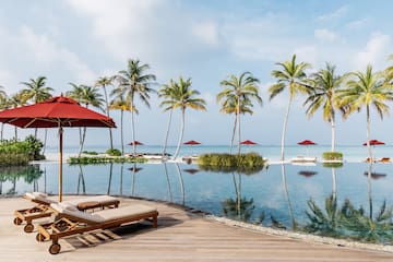 a pool with chairs and umbrellas and palm trees