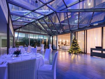 a room with a christmas tree and a glass ceiling