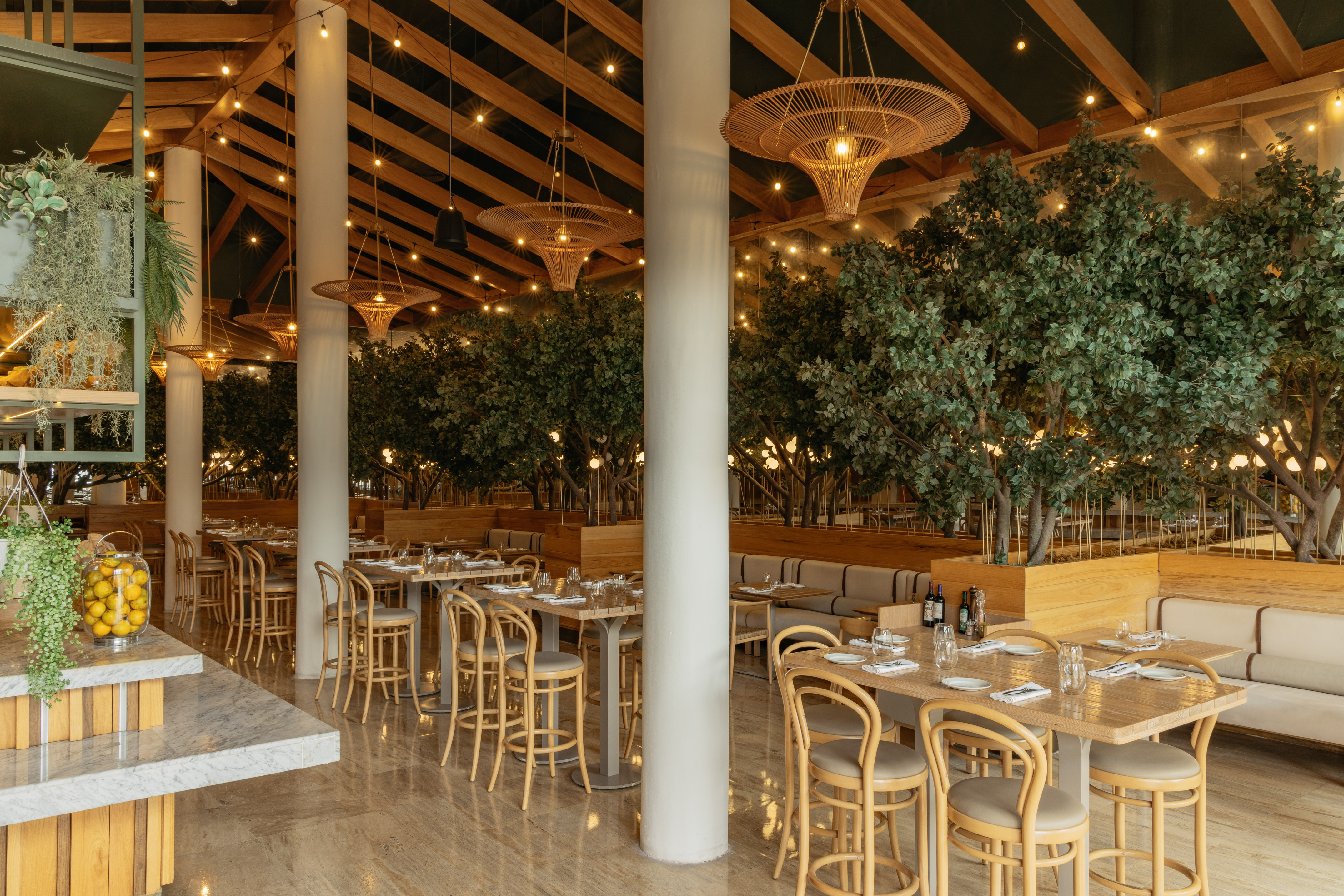Modern restaurant interior with indoor trees, warm lighting, and elegant dining.