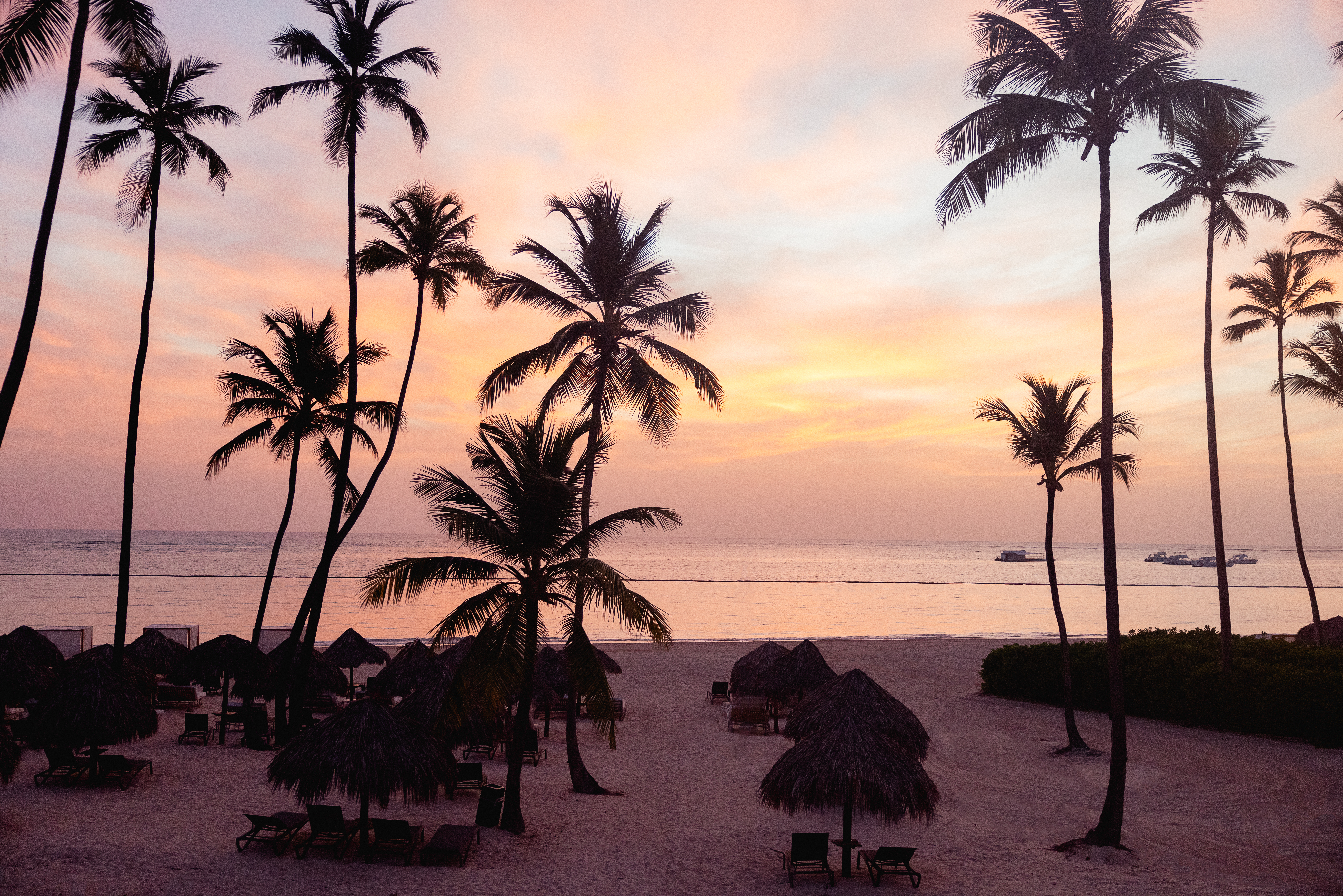 a beach with palm trees and umbrellas