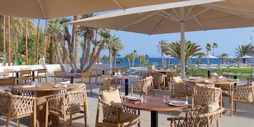 a restaurant with tables and chairs