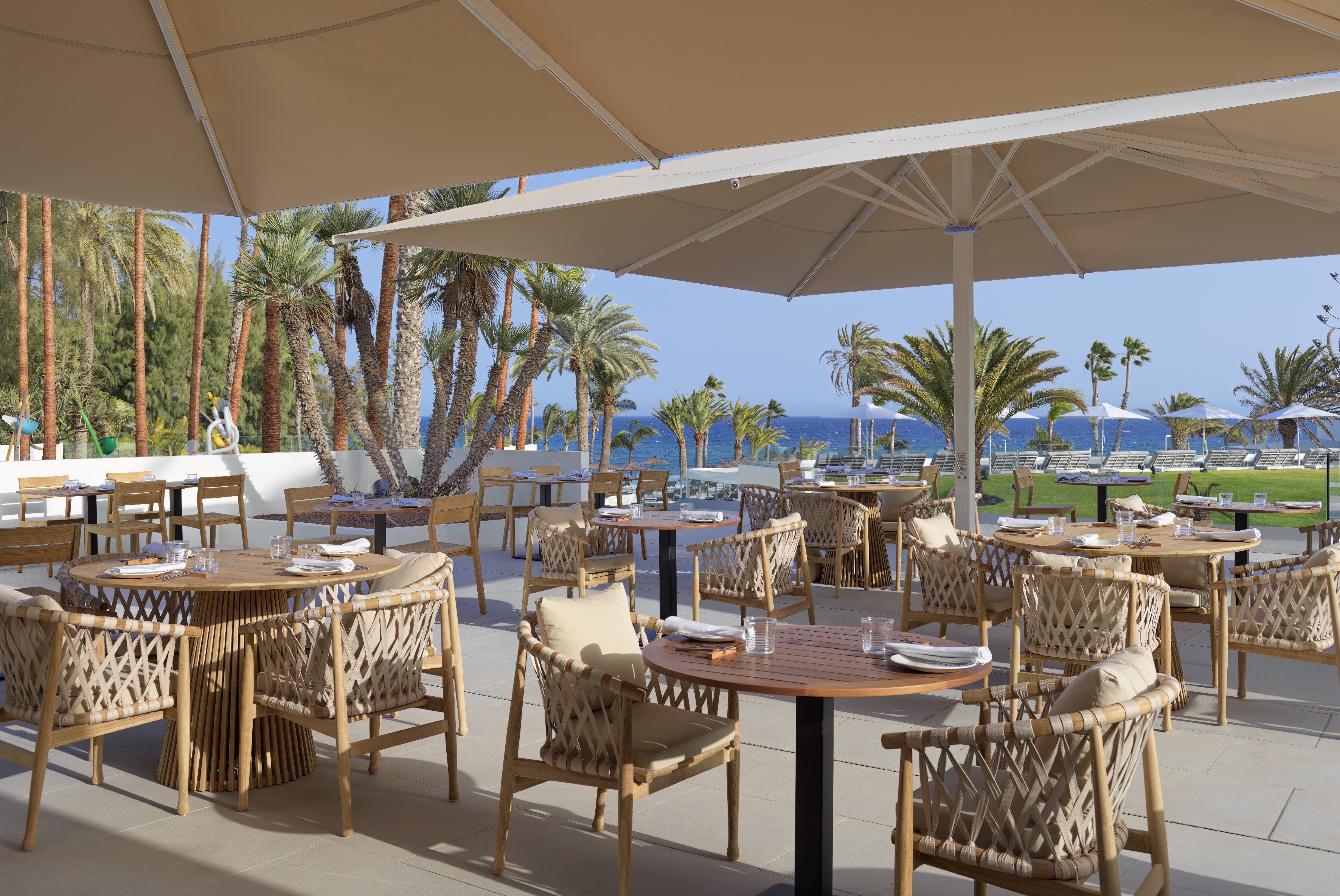 Shaded outdoor restaurant overlooking the sea, with palm trees and set tables.
