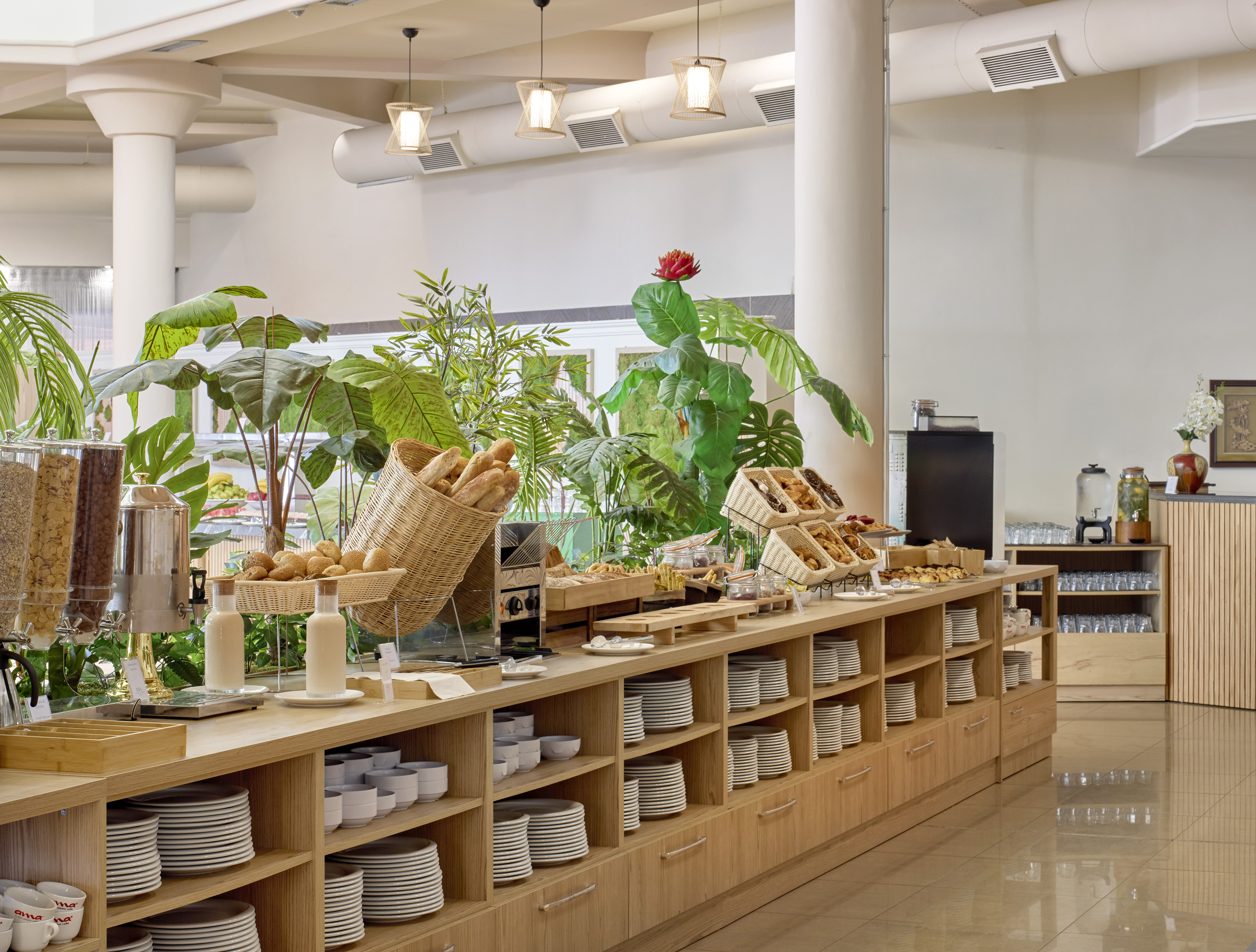 Hotel breakfast buffet with fresh bread, pastries, cereals, and plants.