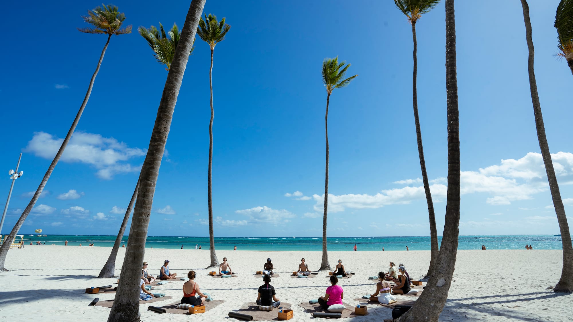 a group of people on a beach with palm trees
