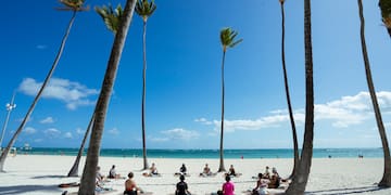 a group of people on a beach with palm trees