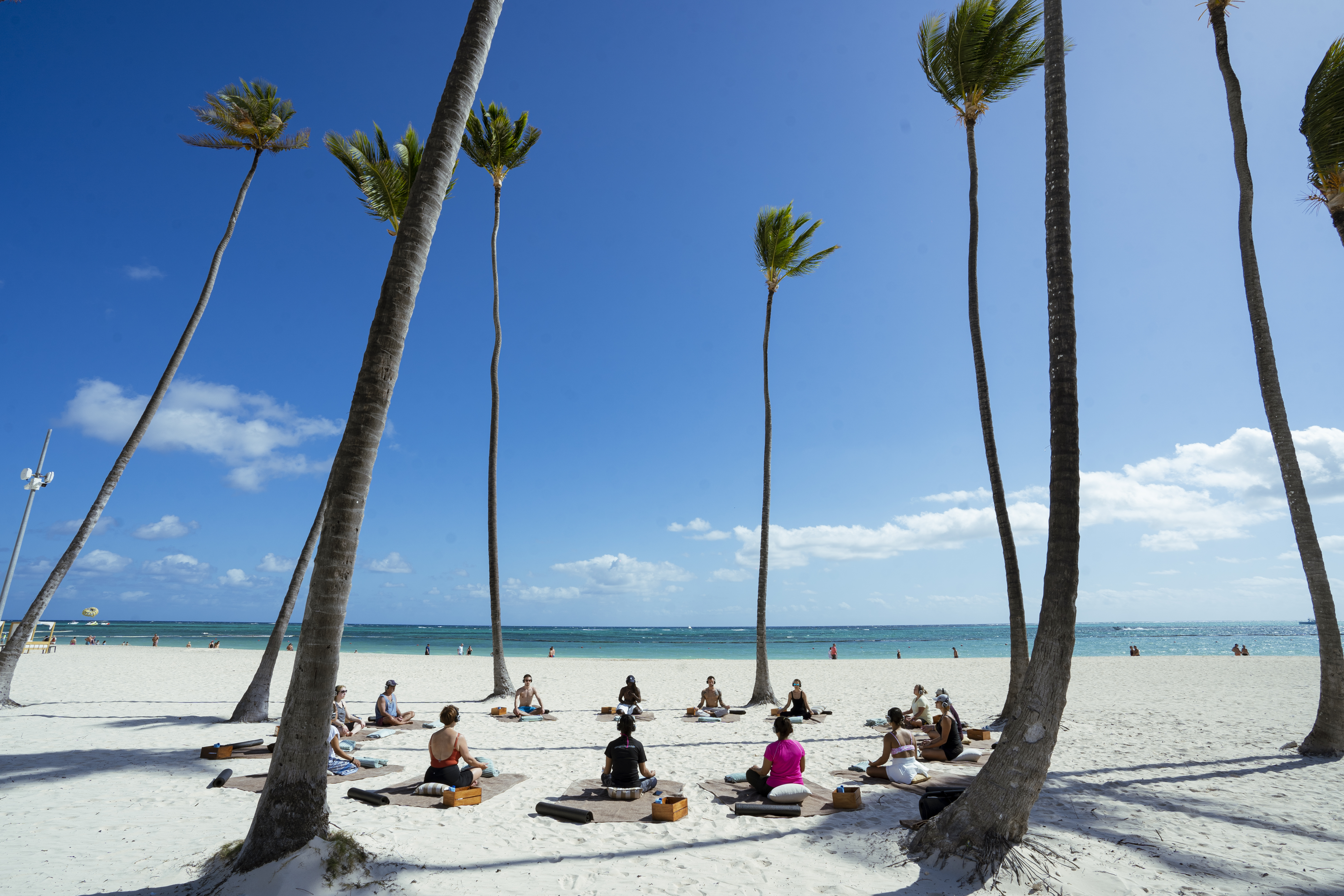 a group of people on a beach with palm trees