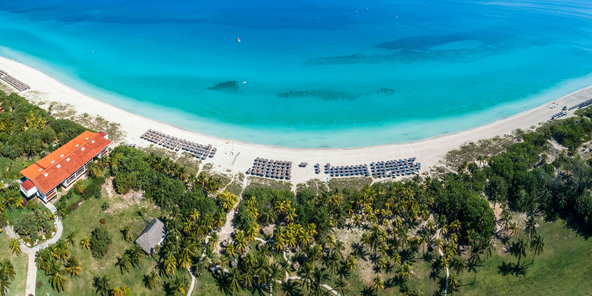 an aerial view of a beach with palm trees and blue water