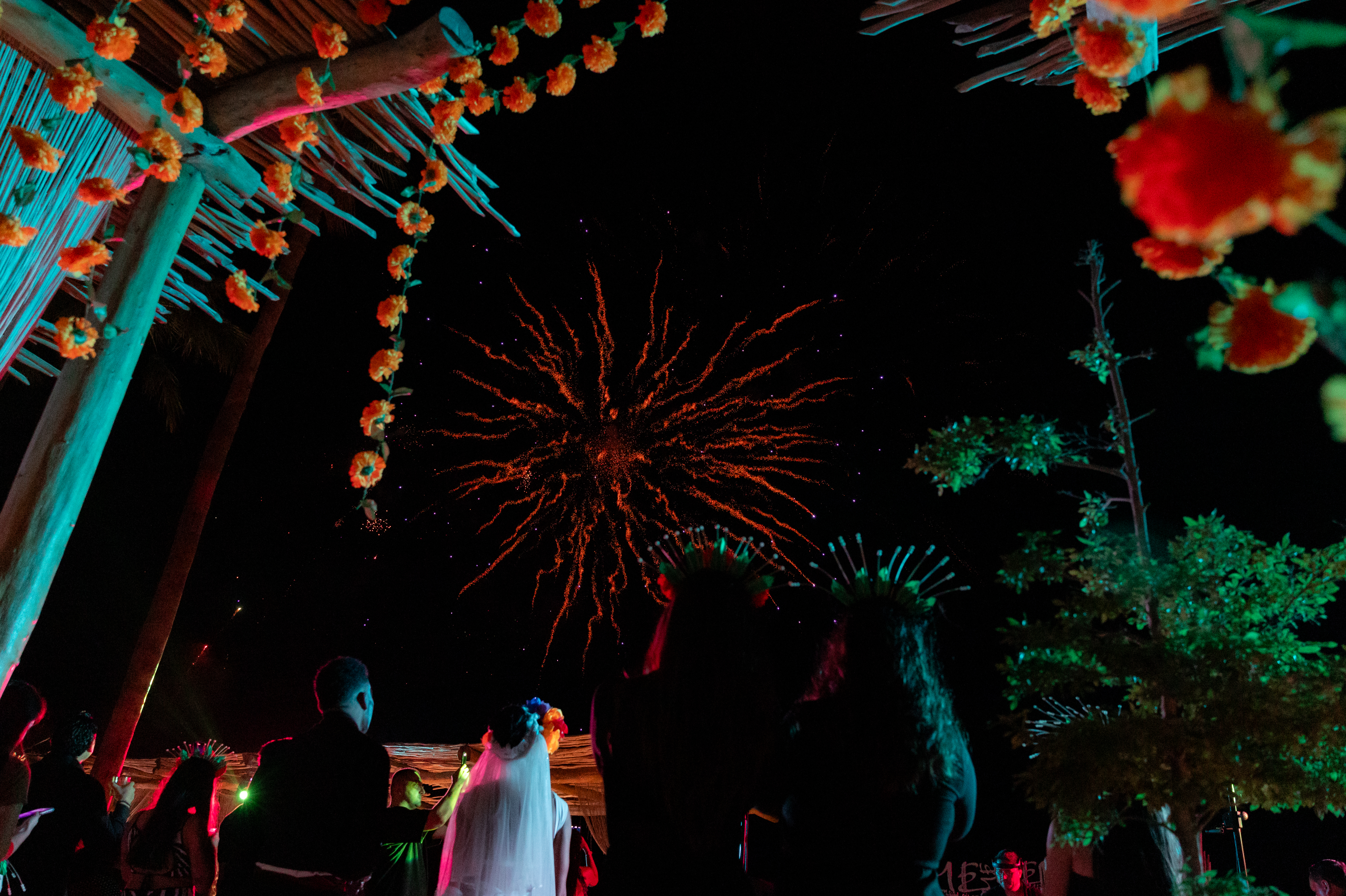 people looking at fireworks in the sky