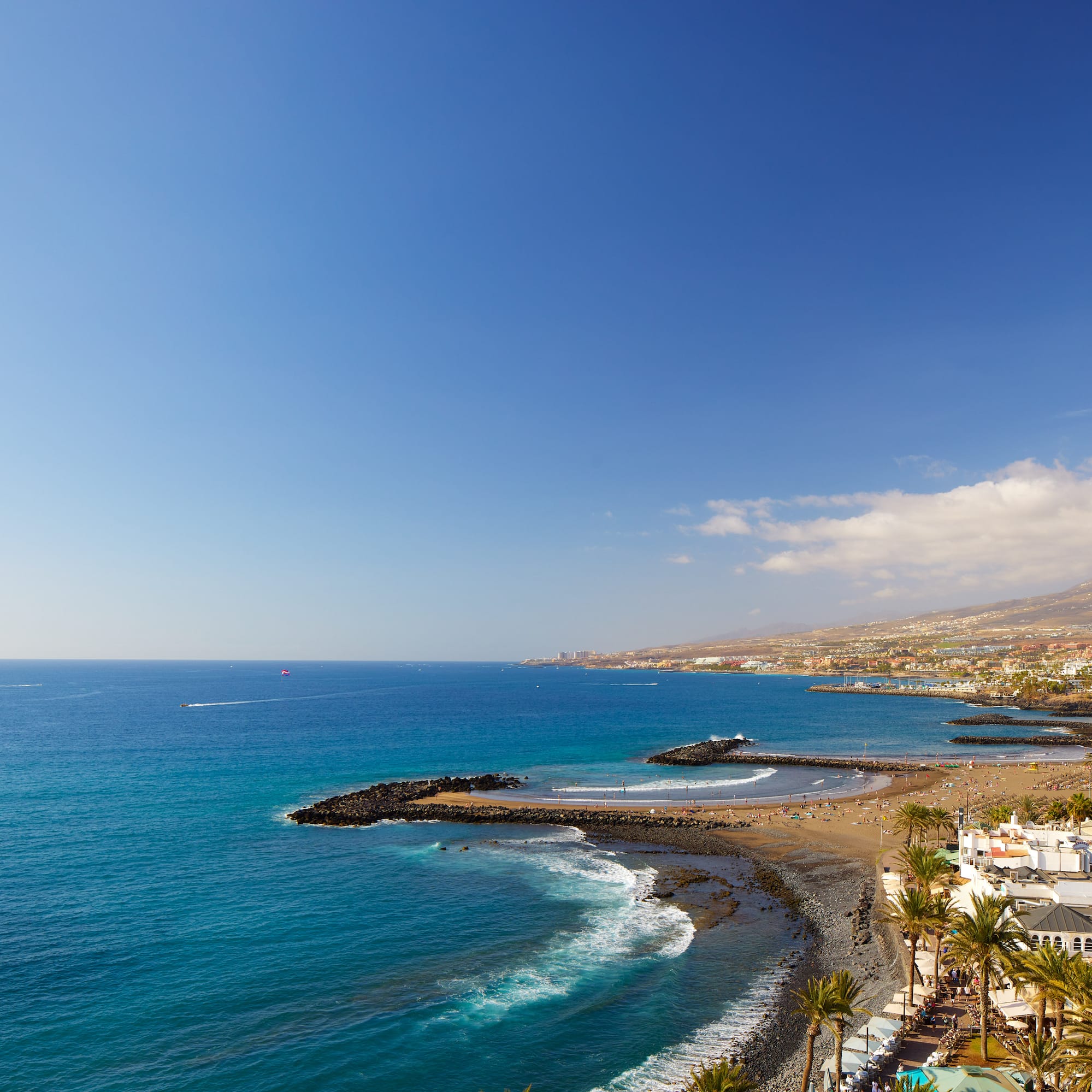 a beach with buildings and palm trees