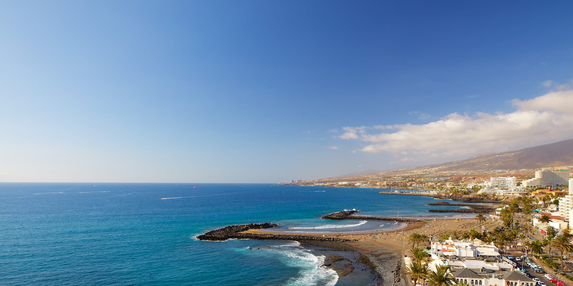 a beach with buildings and palm trees